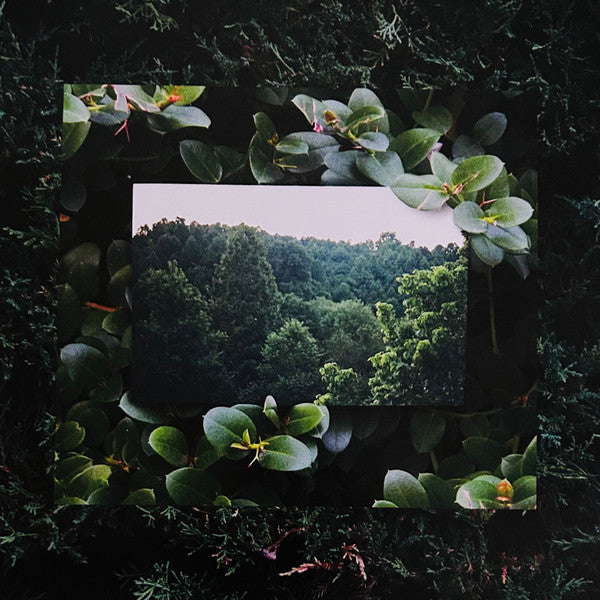 Live From Blackalachia | Mint (M) Mint (M) Get Cheap Vinyl
