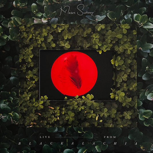 Live From Blackalachia | Mint (M) Mint (M) Get Cheap Vinyl