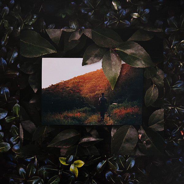 Live From Blackalachia | Mint (M) Mint (M) Get Cheap Vinyl