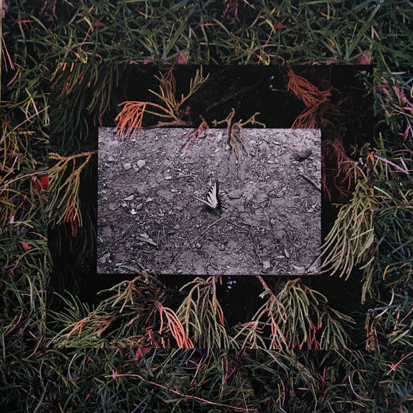 Live From Blackalachia | Mint (M) Mint (M) Get Cheap Vinyl