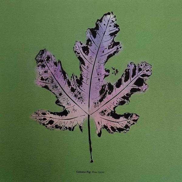 Live From Blackalachia | Mint (M) Mint (M) Get Cheap Vinyl