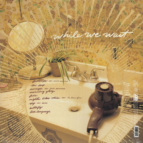 While We Wait | Mint (M) Mint (M) Get Cheap Vinyl