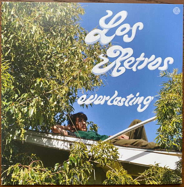 Everlasting | Mint (M) Mint (M) Get Cheap Vinyl