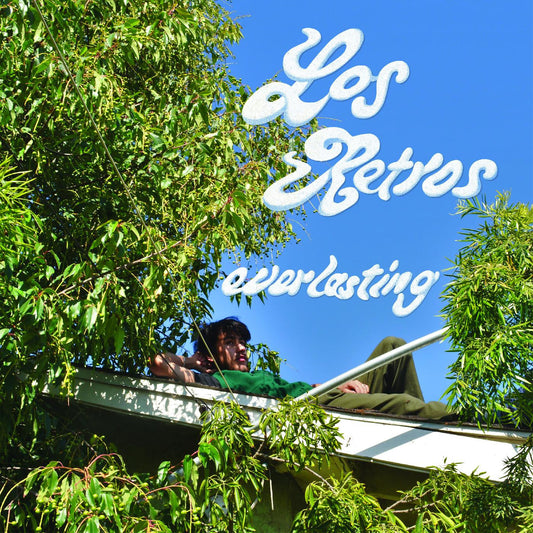 Everlasting | Mint (M) Mint (M) Get Cheap Vinyl