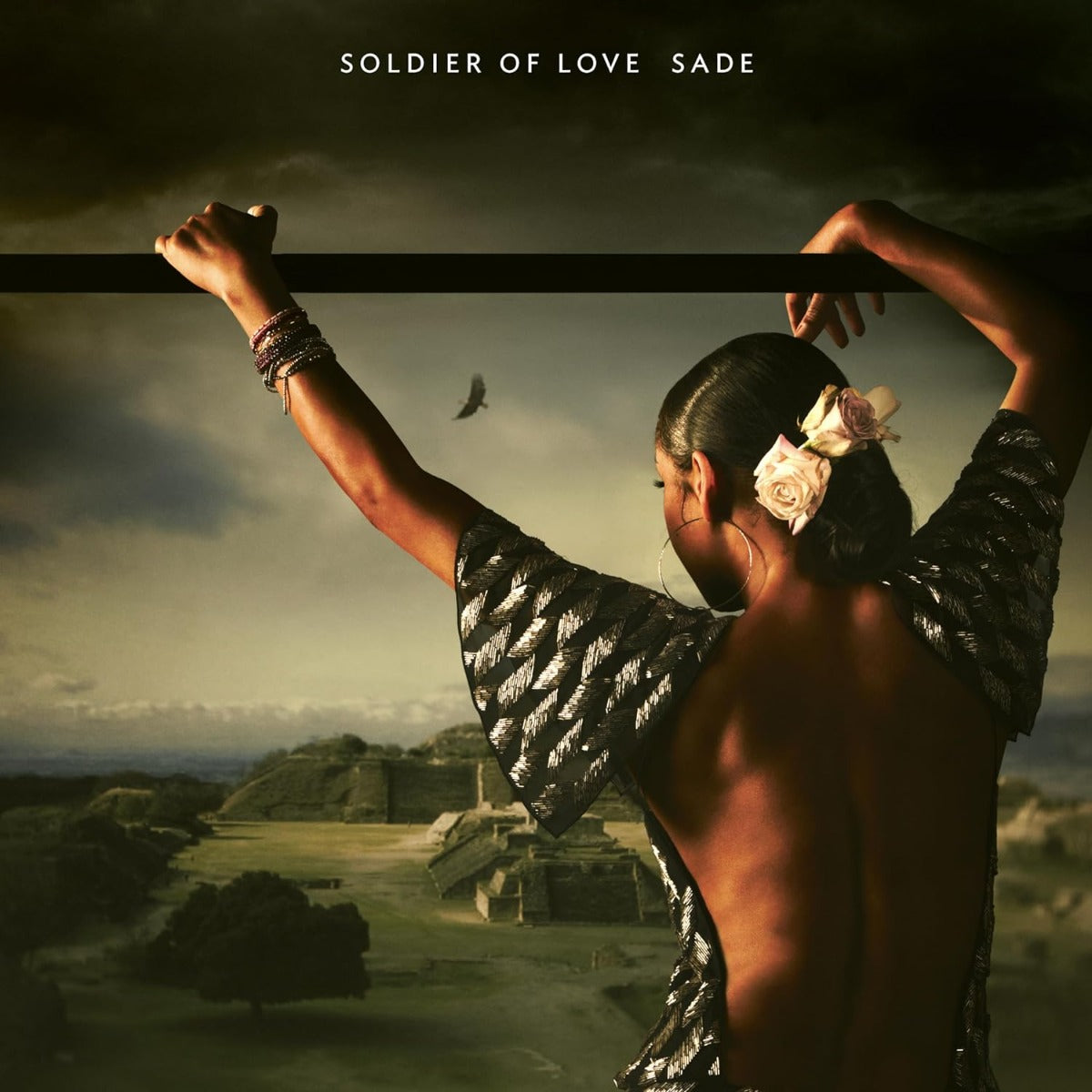 Soldier Of Love (Half-Speed Mastered, 180 Gram) (LP) | Mint (M) Mint (M) Get Cheap Vinyl