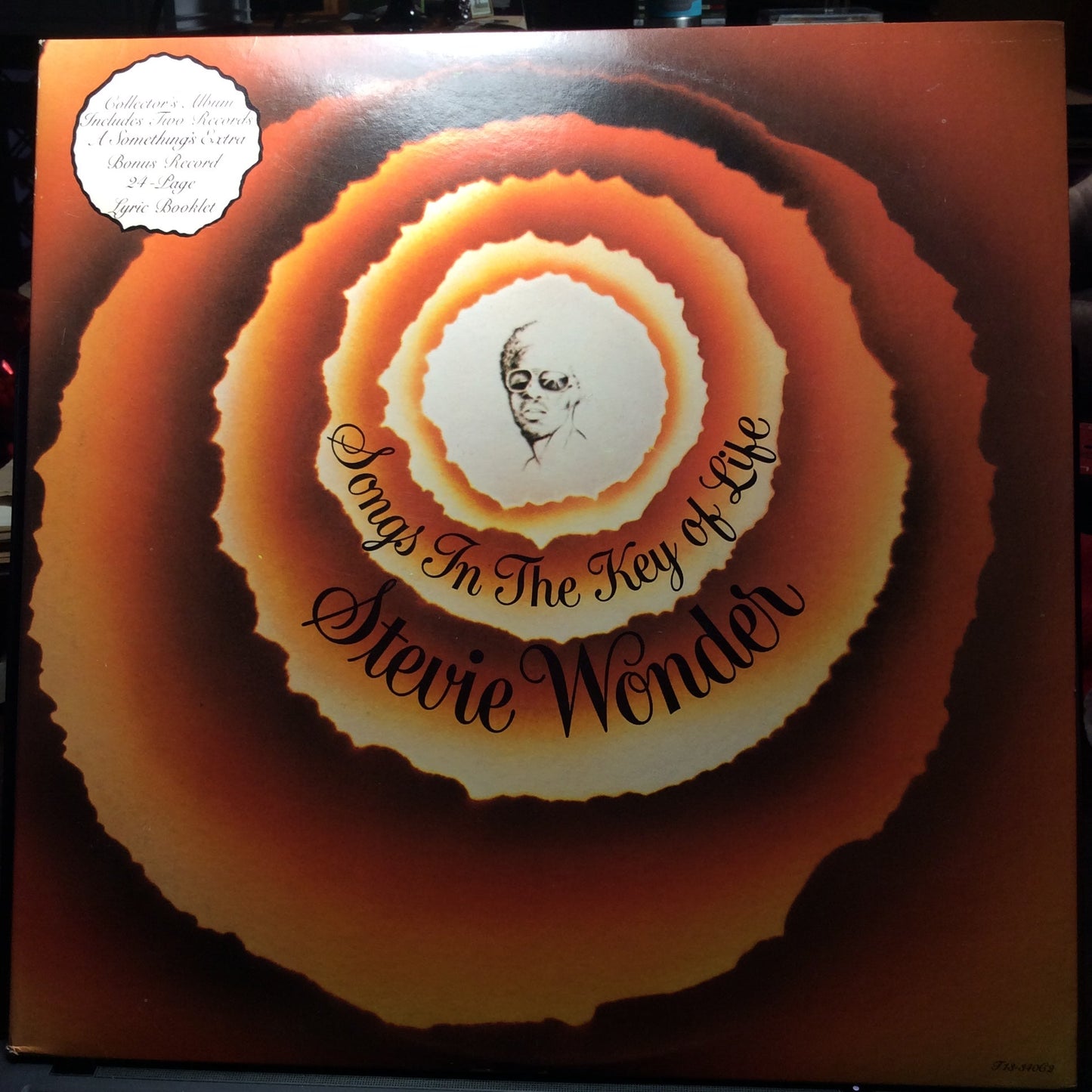 Songs In The Key Of Life (2xVINYL) *W BOOKLET, NO 7"* | Excellent (EX) Excellent+ (EX+) Get Cheap Vinyl