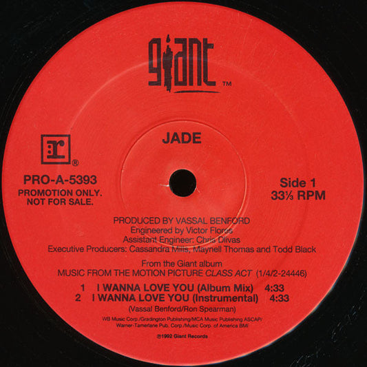 I Wanna Love You (VINYL) | Near Mint (NM) Excellent+ (EX+) Get Cheap Vinyl