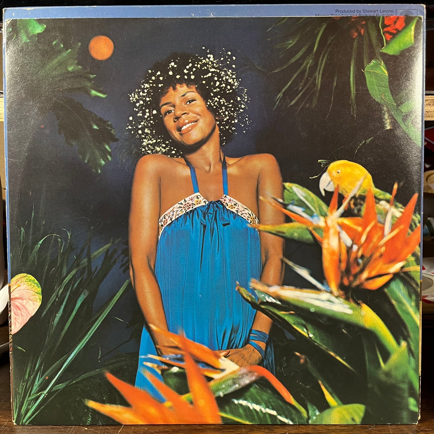 Adventures In Paradise (VINYL) | Very Good (VG) Excellent (EX) Get Cheap Vinyl