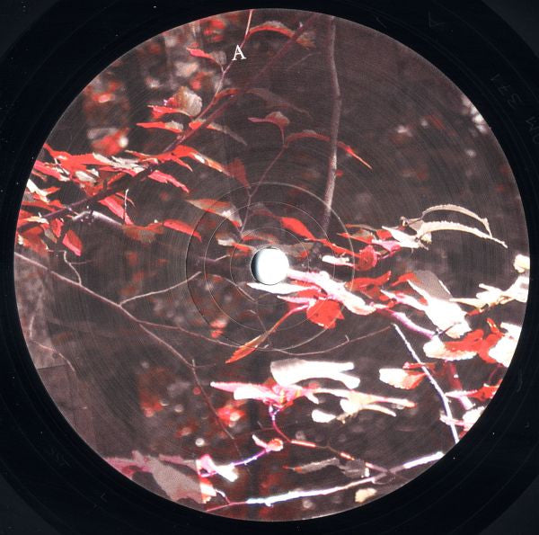 Narkopop | Mint (M) Mint (M) Get Cheap Vinyl