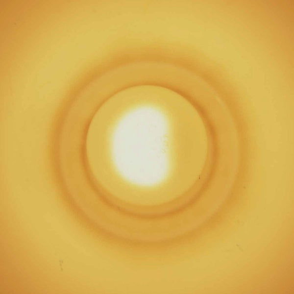 Monstersol | Get Cheap Vinyl