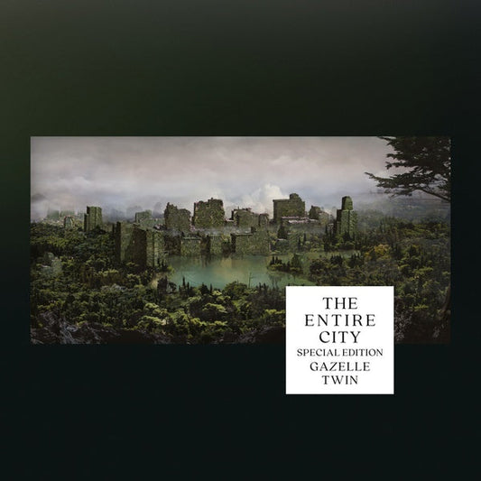 The Entire City / The Wastelands | Get Cheap Vinyl