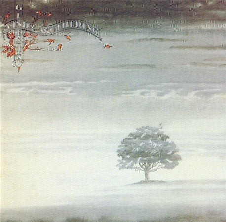 WIND & WUTHERING | Mint (M) Mint (M) Get Cheap Vinyl