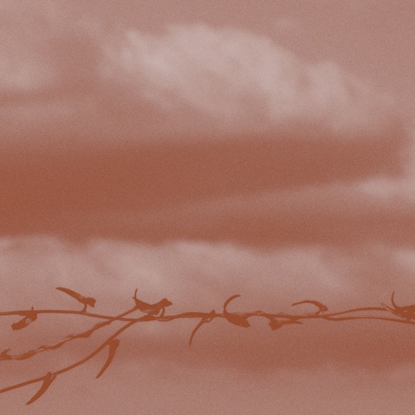 Double Bind | Get Cheap Vinyl