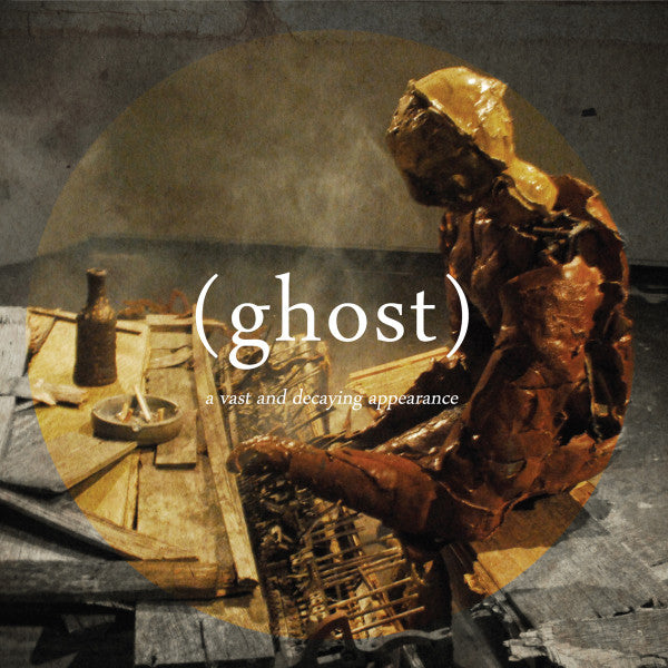 A Vast And Decaying Appearance | Mint (M) Mint (M) Get Cheap Vinyl