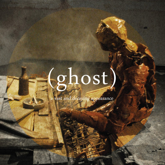 A Vast And Decaying Appearance | Mint (M) Mint (M) Get Cheap Vinyl
