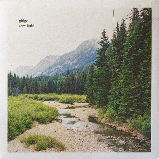New Light | Mint (M) Mint (M) Get Cheap Vinyl