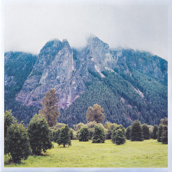 New Light | Mint (M) Mint (M) Get Cheap Vinyl