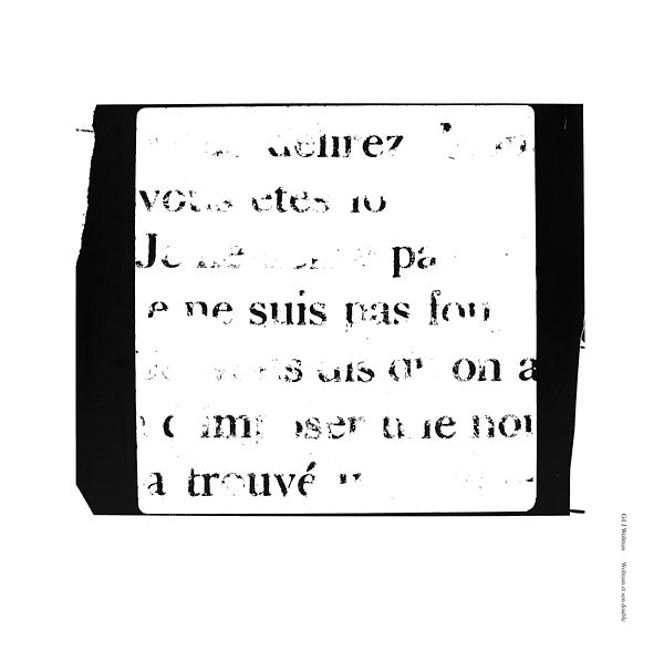 Wolman et son double | Get Cheap Vinyl