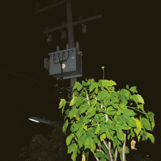 Down On Darkened Meetings | Mint (M) Get Cheap Vinyl