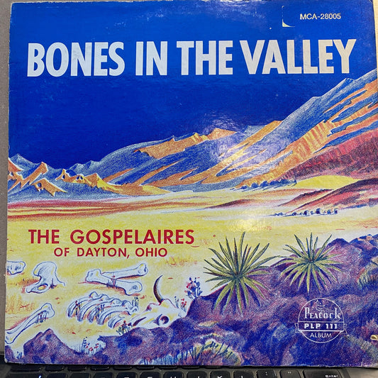 Bones In The Valley | Excellent (EX) Very Good (VG) Get Cheap Vinyl