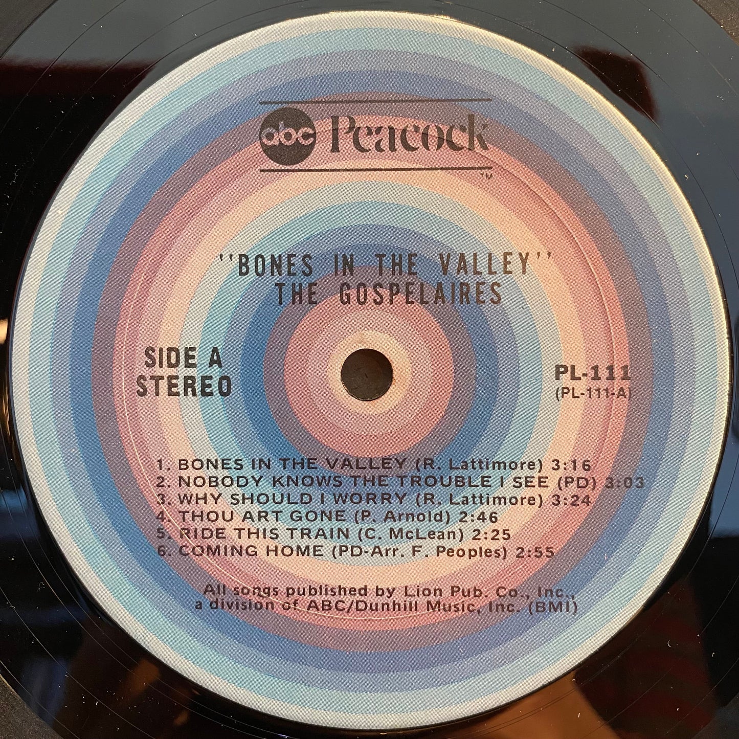 Bones In The Valley | Excellent (EX) Very Good (VG) Get Cheap Vinyl