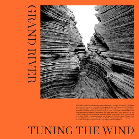 Tuning The Wind (LP) | Mint (M) Mint (M) Get Cheap Vinyl