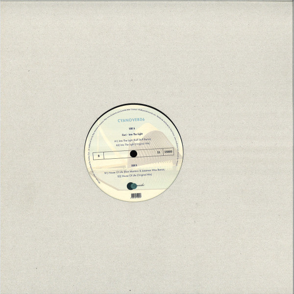 Into The Light | Mint (M) Mint (M) Get Cheap Vinyl