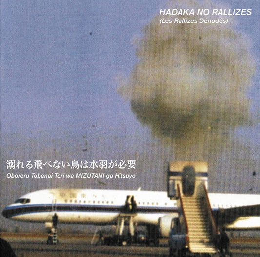 Flightless Bird Needs Water Wings - Vol. 1 (VINYL) [Import] | Mint (M) Mint (M) Get Cheap Vinyl