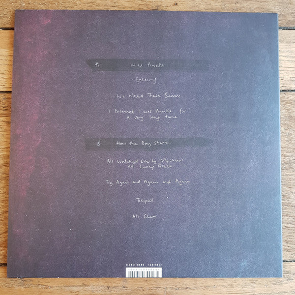 The Hill, The Light, The Ghost | Mint (M) Mint (M) Get Cheap Vinyl