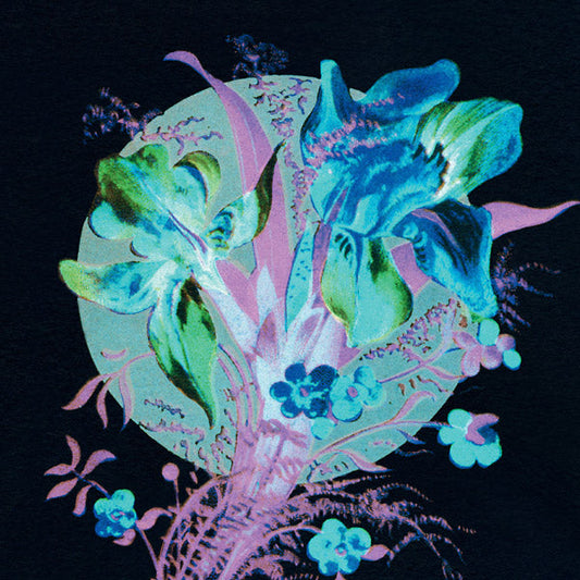 A Handful Of Dust Is A Desert | Get Cheap Vinyl