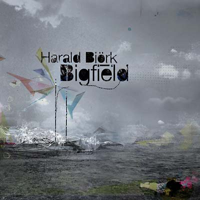 Bigfield | Get Cheap Vinyl