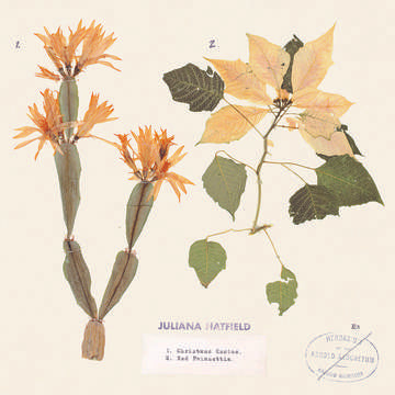 Christmas Cactus/Red Poinsettia (7" RSD 11.27.2020) | Mint (M) Mint (M) Get Cheap Vinyl