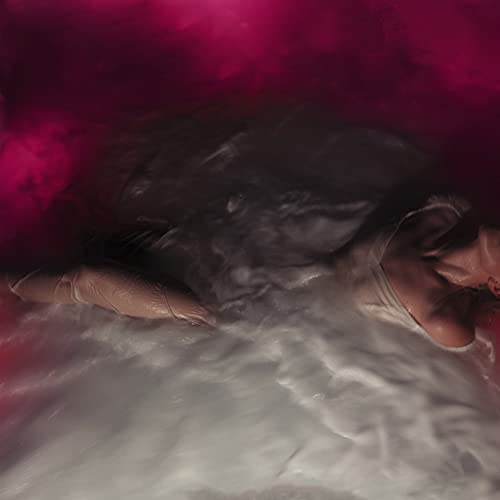 Flowers For Vases / descansos | Mint (M) Mint (M) Get Cheap Vinyl