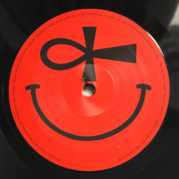 There Is No Acid In This House | Mint (M) Mint (M) Get Cheap Vinyl