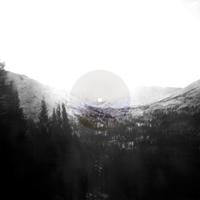 Can't Feel Born | Mint (M) Mint (M) Get Cheap Vinyl
