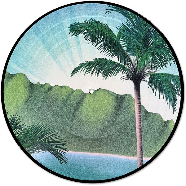 Daymaker *PICTURE LP* | Mint (M) Mint (M) Get Cheap Vinyl