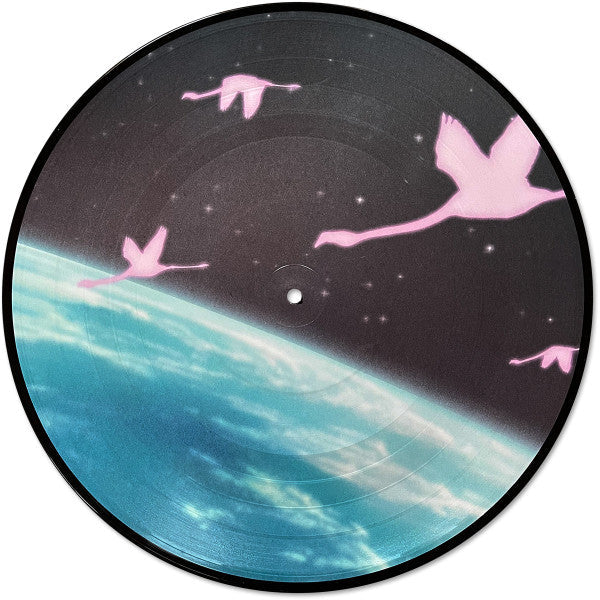 Daymaker *PICTURE LP* | Mint (M) Mint (M) Get Cheap Vinyl