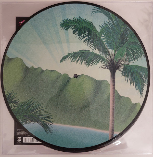 Daymaker *PICTURE LP* | Mint (M) Mint (M) Get Cheap Vinyl