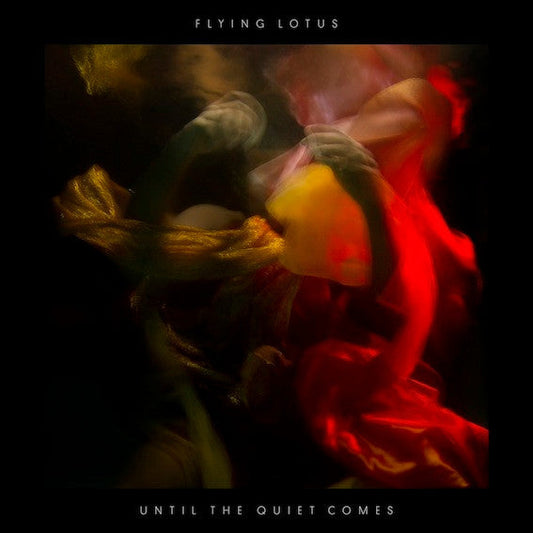 Until The Quiet Comes | Mint (M) Mint (M) Get Cheap Vinyl
