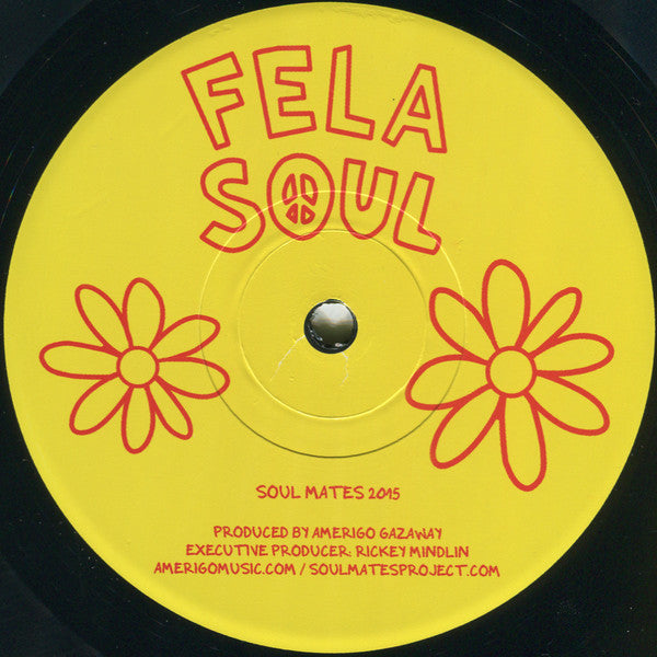 Fela Soul | Mint (M) Mint (M) Get Cheap Vinyl
