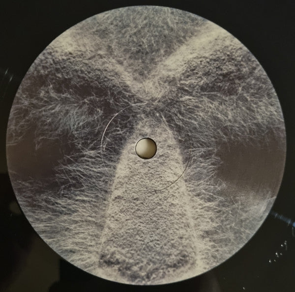Born Like This | Mint (M) Mint (M) Get Cheap Vinyl