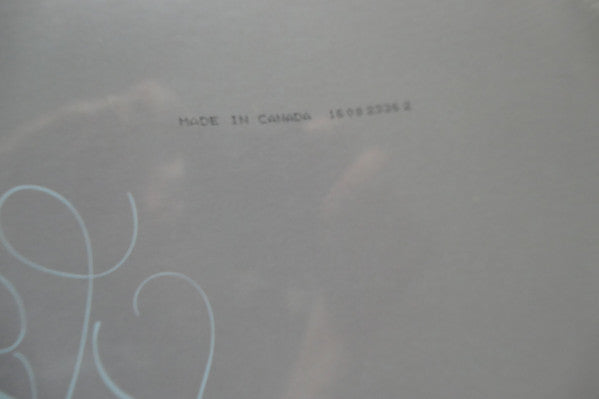 The Divine Feminine (VINYL) | Mint (M) Mint (M) Get Cheap Vinyl