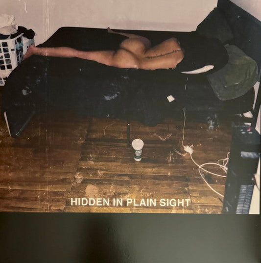 Hidden In Plain Sight (VINYL) | Mint (M) Mint (M) Get Cheap Vinyl