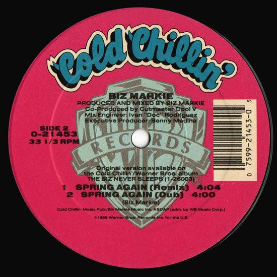 Spring Again (VINYL) | Excellent (EX) Near Mint (NM) Get Cheap Vinyl