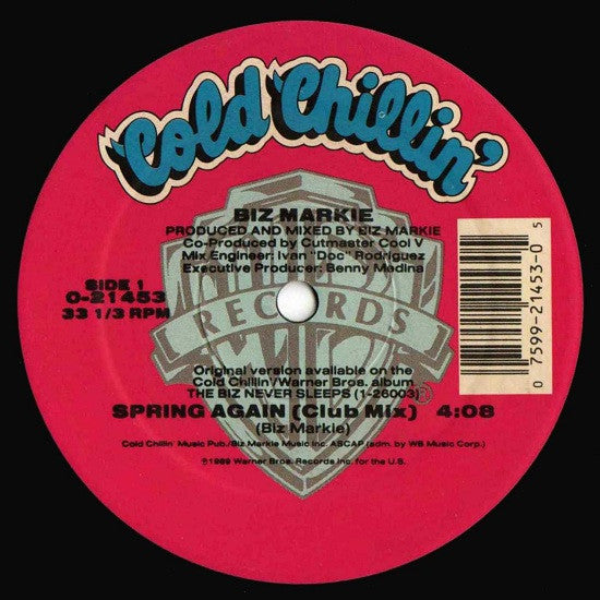 Spring Again (VINYL) | Excellent (EX) Near Mint (NM) Get Cheap Vinyl