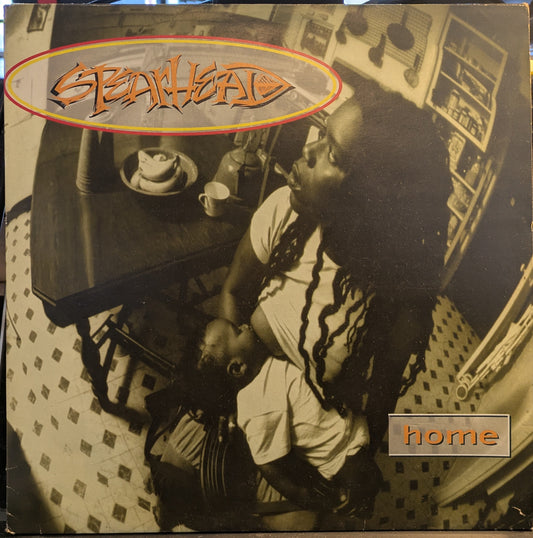 Home (2xVINYL) | Near Mint- (NM-) Excellent (EX) Get Cheap Vinyl
