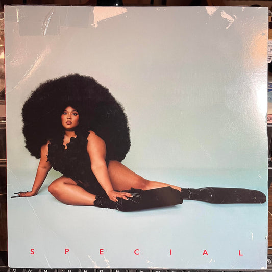 Special (LP, Album, Ltd, Alt) | Near Mint (NM or M-) Very Good (VG) Get Cheap Vinyl