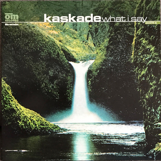 What I Say | Near Mint (NM or M-) Excellent (EX) Get Cheap Vinyl