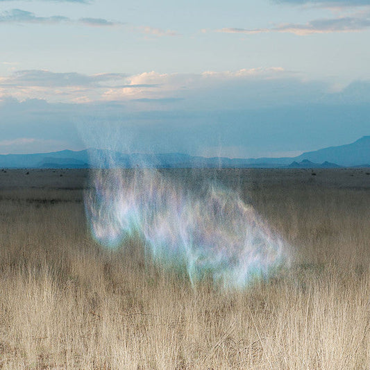 The Gathering Dawn | Mint (M) Mint (M) Get Cheap Vinyl
