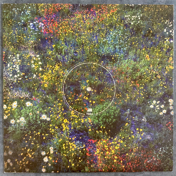 Let's Just Say The World Ended A Week From Now, What Would You Do? | Mint (M) Mint (M) Get Cheap Vinyl